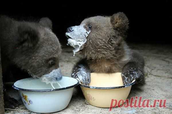 Интересные новости