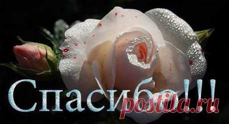 ♥♥♥ Ďฐéšš ♥ ∫lנøδนณลค ♥ Ťβŏค ♥♥♥
Россия, Москва
все её фото