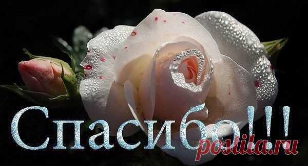 ♥♥♥ Ďฐéšš ♥ ∫lנøδนณลค ♥ Ťβŏค ♥♥♥
Россия, Москва
все её фото
