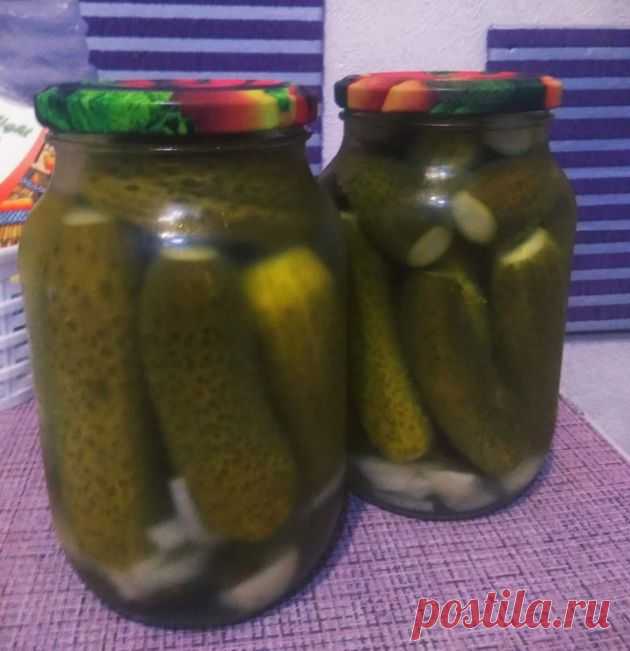 Рецепты самых вкусных маринованных огурчиков, проверенные временем и завистливыми соседями | Задачи для дома и дачи Пульс Mail.ru