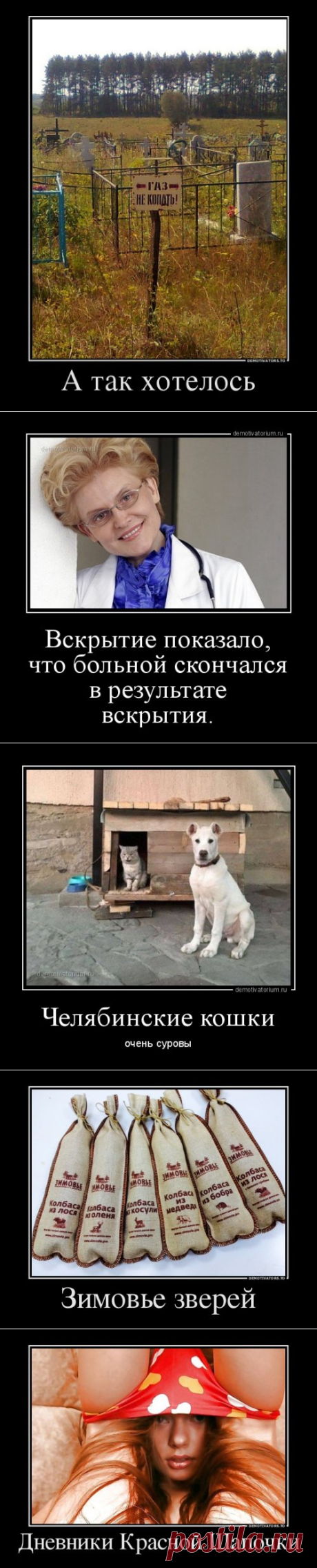 Новые демотиваторы (19 шт)