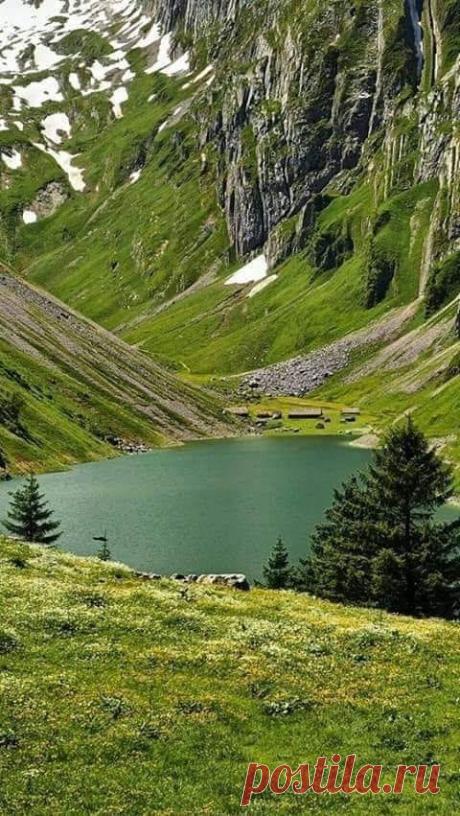 (7) Facebook