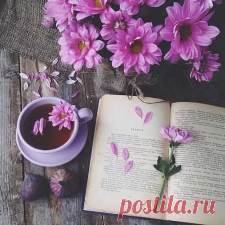 10 отличных книг для саморазвития