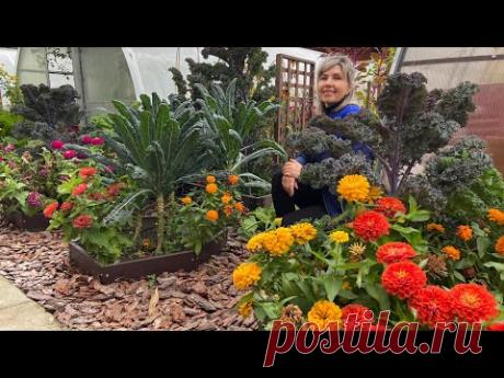 Обязательно посадите в сентябре и октябре самые лучшие тюльпаны и нарциссы! - YouTube