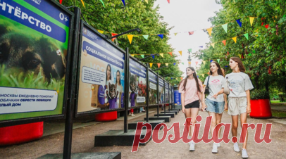 Фотовыставка о волонтёрстве с котиком Мишаней открылась на Цветном бульваре. На Цветном бульваре до 28 июля проходит бесплатная фотовыставка, посвящённая волонтёрству. Главным героем выставки стал котик-волонтёр Мишаня, который расскажет о популярных направлениях добровольчества. Читать далее