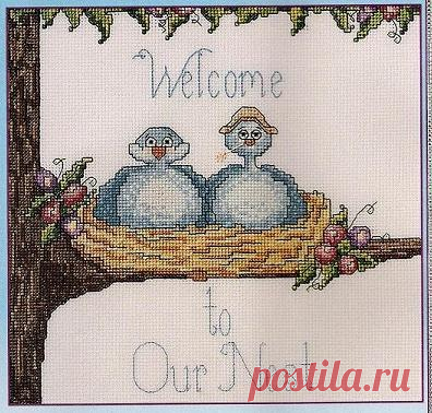 (2) Gallery.ru / Фото #3 - Добро пожаловать в наше гнездо! - frango