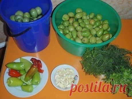 Помидорки "Оторваться невозможно"

Рецепт этих помидорчиков достался мне от любимой свекрови. Я в них просто влюбилась. Они полностью оправдывают свое название. Рецепт проверенный, помидорки получаются вкуснючие. Это просто необыкновенный рецепт. Всем, кто любит подобные вещи, нужно взять его себе на заметку.

Ингредиенты

Помидоры
Укроп (свежий) — 1 пуч.
Петрушка (свежая) — 1 пуч.
Зелень (веточки сельдерея) — 1 пуч.
Чеснок (очищенный) — 200 г
Перец сладкий — 6 шт
Перец чи...