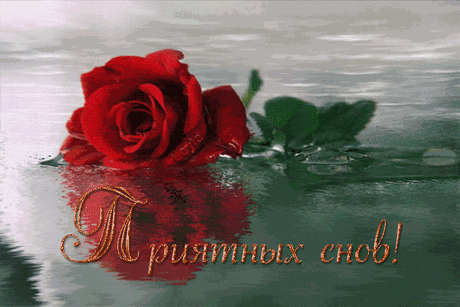 Мой Мир@Mail.Ru