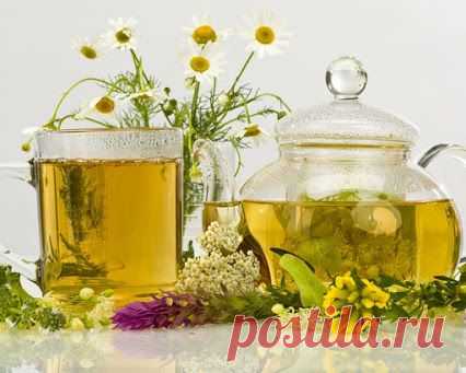 Целебная Кулинария
●══════♥ ☜♡☞ ♥═══════●﻿
9 НАПИТКОВ ОТ ПРОСТУДЫ

1. Теплый чай с медом и лимоном

Очень полезен некрепкий черный или зеленый чай с добавлением 1 ч.л. меда (мед обладает противовоспалительным и бактерицидным действием, а также содержит множество полезных минералов, микроэлементов и витаминов) и сока лимона. Лимон важно добавлять не в кипяток, а в уже немного охлажденный чай, чтобы сохранить витамин С.