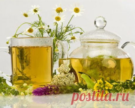 Целебная Кулинария
●══════♥ ☜♡☞ ♥═══════●﻿
9 НАПИТКОВ ОТ ПРОСТУДЫ

1. Теплый чай с медом и лимоном

Очень полезен некрепкий черный или зеленый чай с добавлением 1 ч.л. меда (мед обладает противовоспалительным и бактерицидным действием, а также содержит множество полезных минералов, микроэлементов и витаминов) и сока лимона. Лимон важно добавлять не в кипяток, а в уже немного охлажденный чай, чтобы сохранить витамин С.