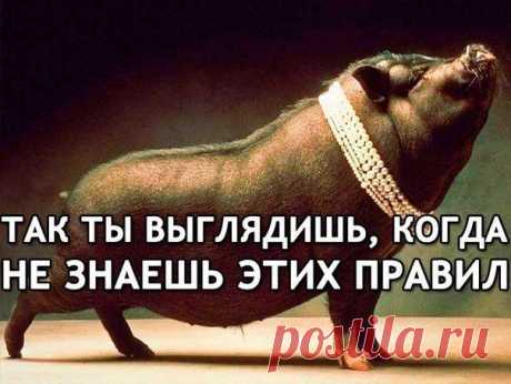 10 качеств воспитанного человека, не знать которые стыдно | МАЛЕНЬКАЯ СТРАНА МС