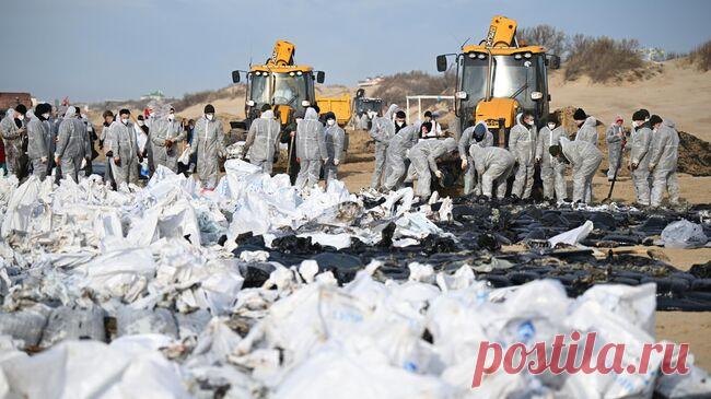 Слуцкий предложил варианты поощрений для волонтеров