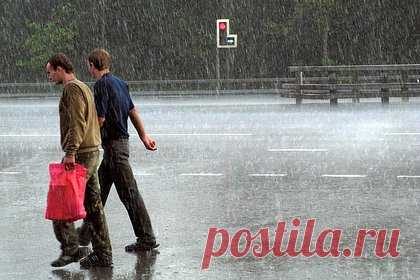 Жители Сочи рассказали о последствиях мощного ливня. После мощного ливня в Сочи затопило подъезды в некоторых многоквартирных домах и сильно размыло дороги. Об этом в разговоре с «Лентой.ру» рассказали местные жительницы. Они описали ситуацию в городе после стихии и рассказали, как коммунальные службы справляются с устранением последствий.