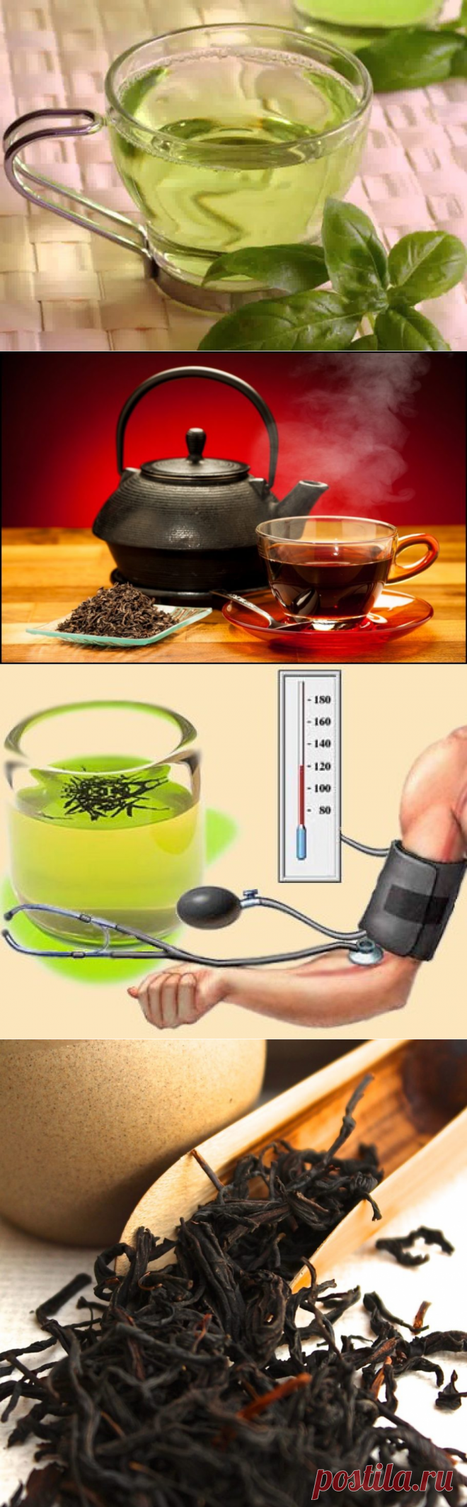 ?‍⚕️ Какой чай повышает давление — зеленый или черный?