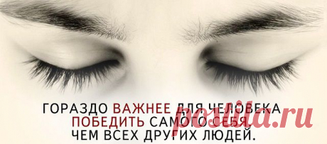 Без любви....