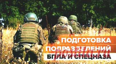«Сохраняет жизни личного состава»: боец ВС РФ — о важности использования БПЛА в зоне СВО. Военкор RT Хассан Насср посетил прифронтовой тренировочный лагерь 56-го батальона специального назначения ВС РФ и пообщался с военнослужащими. По словам командира разведгруппы «Феликс», за два года его бойцы отлично освоили применение БПЛА. Он отметил, что исход сражения зачастую зависит от быстроты получения координат и данных о перемещении врага. Подробнее — в сюжете RT. Читать далее