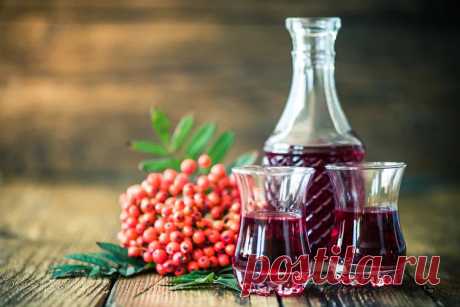 Ягодные наливки: рецепты, этапы приготовления, фото