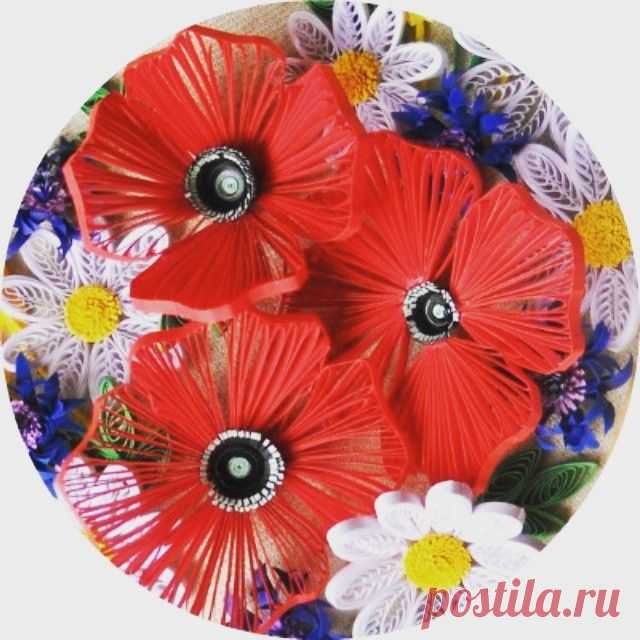 Summer ♡
#quilling #flower #poppies #daisies #cornflowers #paperfilligree #paperquilling