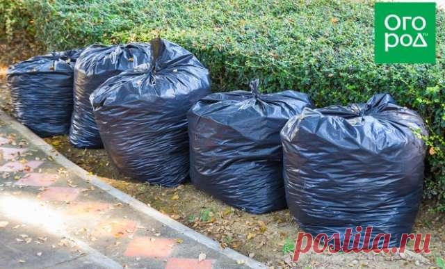 Быстрый компост в мешках: осенью закладываем, а весной вносим на грядки — Домашние