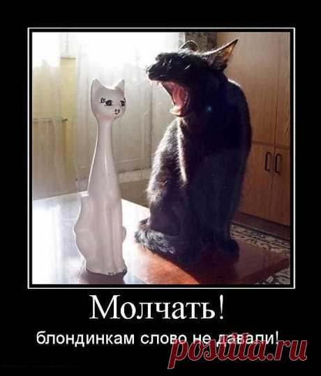 улыбнитесь!