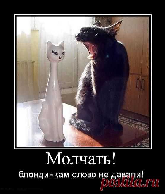 улыбнитесь!