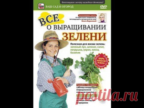 Ч.1. ВСЕ о ВЫРАЩИВАНИИ ЗЕЛЕНИ: зеленый лук, шпинат, салат, петрушка, укроп, кинза, базилик. Часть 1 - YouTube