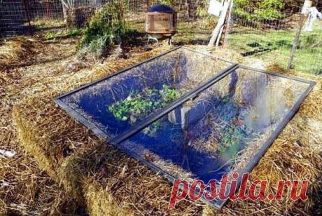 Альтернатива простому парнику / Сладкие сны