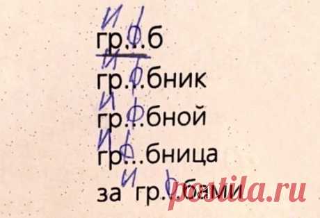 20 гениальных ответов детей в школьных тетрадях