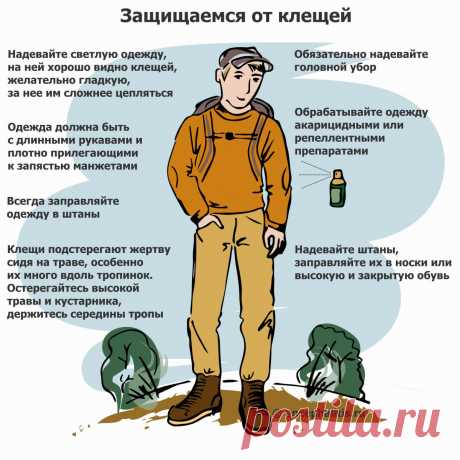 Как защититься от клещей