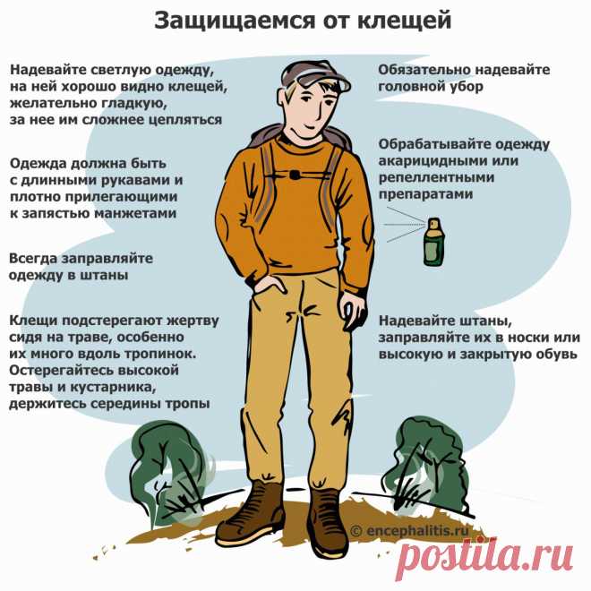 Как защититься от клещей