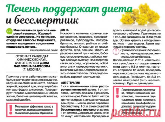 Печень поддержат диета и бессмертник