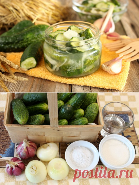 Сырой салат из огурцов на зиму » Вкусные рецепты заготовок на зиму - засолка, консервация, маринование