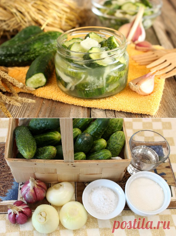 Сырой салат из огурцов на зиму » Вкусные рецепты заготовок на зиму - засолка, консервация, маринование