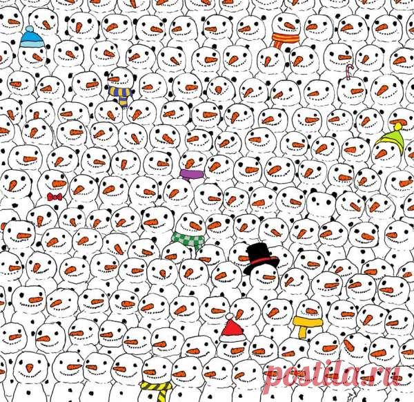 Загадки в картинках / Загадки.com на внимательность, про змею