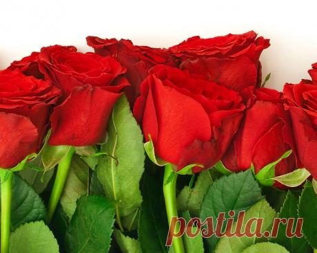 Плейкаст «МОЕЙ ЛУЧШЕЙ ПОДРУГЕ!!!!!!!!!!!!!!!!!!!!!!!!!!!!!!!!!!!!!!!!!!!!!!»