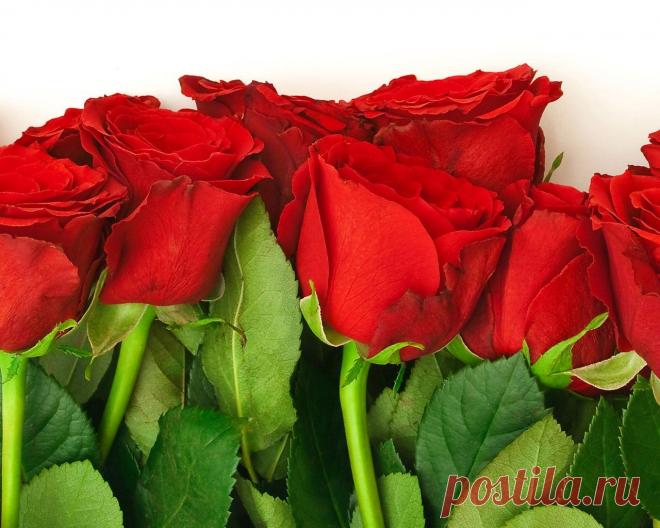 Плейкаст «МОЕЙ ЛУЧШЕЙ ПОДРУГЕ!!!!!!!!!!!!!!!!!!!!!!!!!!!!!!!!!!!!!!!!!!!!!!»