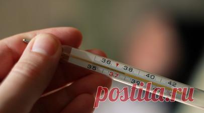 Терапевт Водовозов рассказал об особенностях галинстановых и электронных термометров. Врач-терапевт высшей категории, токсиколог, научный журналист Алексей Водовозов посоветовал держать в доме хотя бы один так называемый максимальный термометр — тот, который показывает максимальную температуру и который затем нужно встряхивать. Читать далее