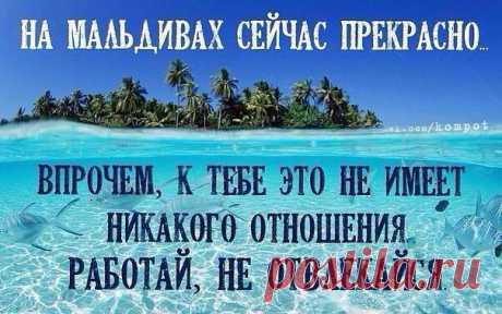 Ирина О---
Россия, Владивосток -Харьков
