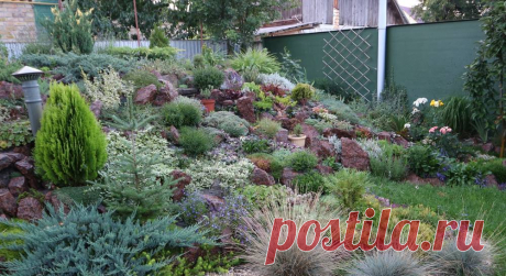 Светлана  Устенко: «Моя работа – это мой образ жизни» | Огородники Ландшафтный дизайн – это не профессия, а призвание! - девиз Светланы Устенко. Светлана - человек который очень любит растения и может соединяя их сотворить чудо на вашем участке.