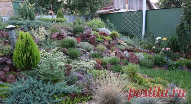 Светлана  Устенко: «Моя работа – это мой образ жизни» | Огородники Ландшафтный дизайн – это не профессия, а призвание! - девиз Светланы Устенко. Светлана - человек который очень любит растения и может соединяя их сотворить чудо на вашем участке.