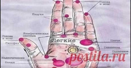 Болезни человека — на его руках. Будь внимателен — меньше будешь болеть! - ХОЗЯЮШКА24 Стимулируя любым способом (тепло, надавливание, эфирные масла) эти точки, вы стимулируете работу внутренних органов. Руки — кладезь всевозможной информации: по ним, как по книге, можно узнать не только...