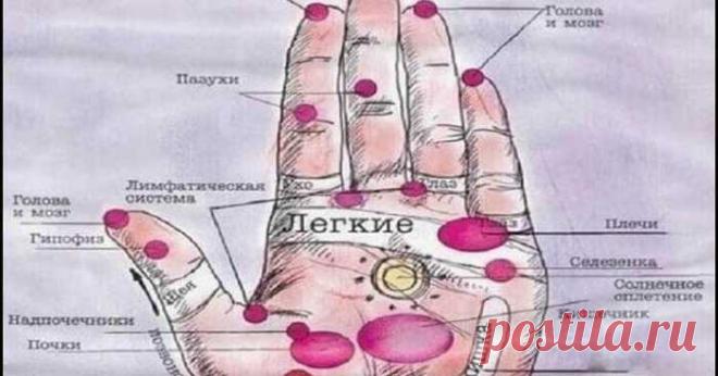 Болезни человека — на его руках. Будь внимателен — меньше будешь болеть! - ХОЗЯЮШКА24 Стимулируя любым способом (тепло, надавливание, эфирные масла) эти точки, вы стимулируете работу внутренних органов. Руки — кладезь всевозможной информации: по ним, как по книге, можно узнать не только...