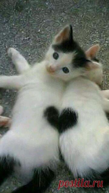 ((((Положительное Настроение))))
Валерий Мошенец