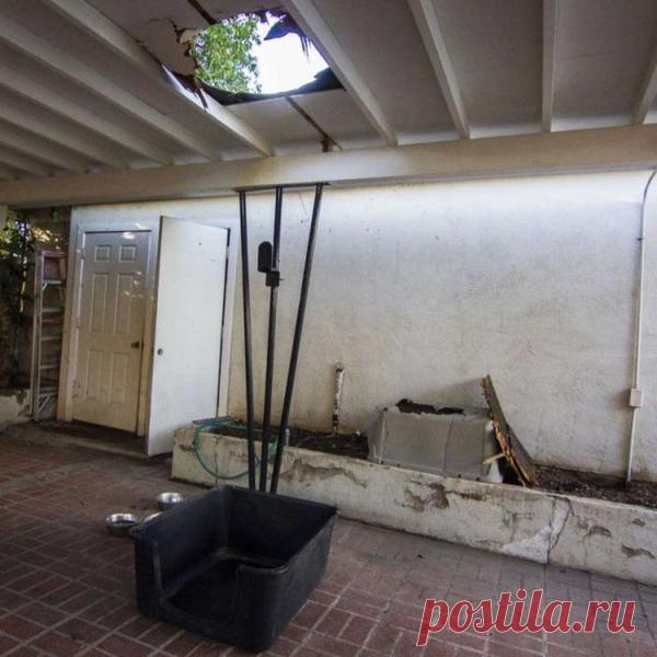 В США с неба упал 11-килограммовый пакет с марихуаной. Шах и мат, атеисты. / Взлом логики