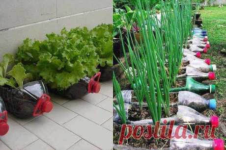 Как мудро- и копать газон не нужно..