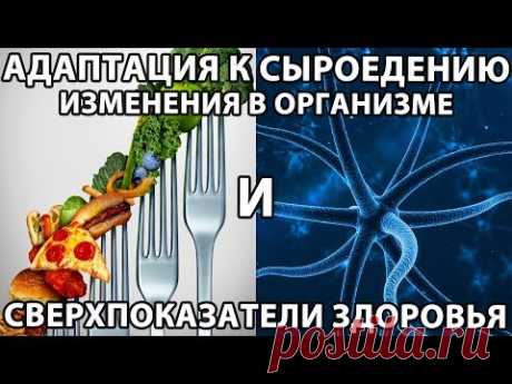 🍏🍌 Адаптация организма к сыроедению или низкокалорийному питанию и физиологические изменения - YouTube #сыроедение #питание