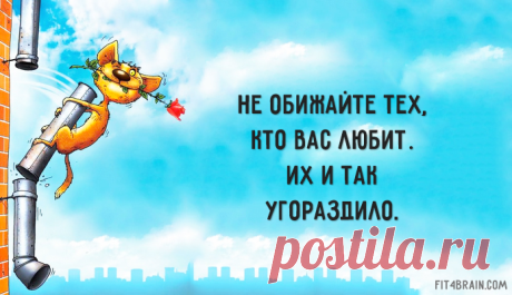 У каждой крыши свой стиль езды. Все... - Фитнес для мозга | Facebook