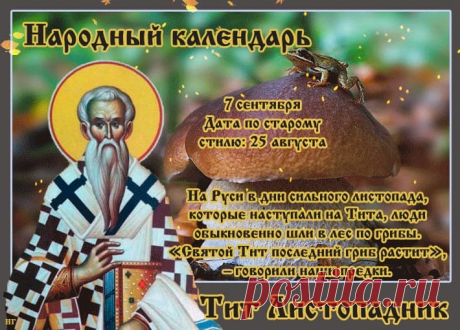 В народном календаре 7 сентября – Тит Листопадник, Тит Грибник, Варфоломеев день.