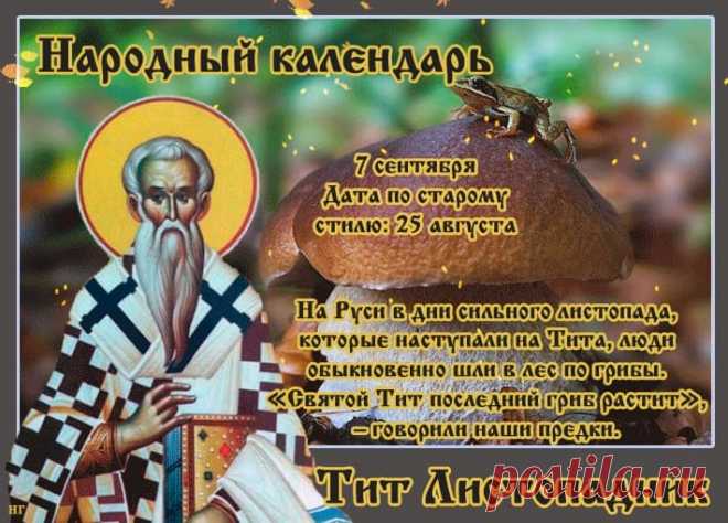 В народном календаре 7 сентября – Тит Листопадник, Тит Грибник, Варфоломеев день.