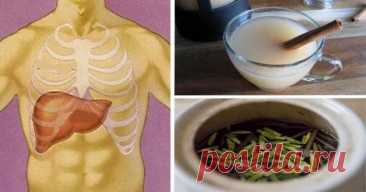 Самые эффективные ночные напитки для быстрой детоксикации печени и сжигания жира! — Сад Заготовка